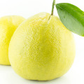 Bergamot-برگاموت