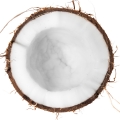 Coconut-نارگیل