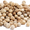 Coriander-گشنیز