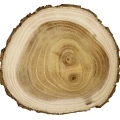 Guaiac Wood-چوب گایاک