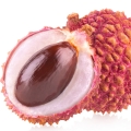 Litchi-سرخالو (لیچی)
