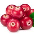 Red Berries-دانه های قرمز