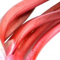 Rhubarb-ریواس