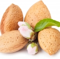 Almond-بادام