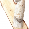Birch-چوب درخت قان