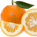 Bitter Orange-نارنج