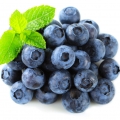 Blueberry-بلوبری