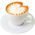 Cappuccino-کاپوچینو