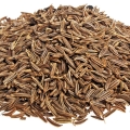 Cumin-زیره سبز