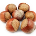 Hazelnut-فندق