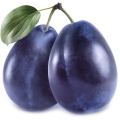 Plum-آلو