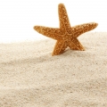 Sand-ماسه دریا
