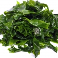 Seaweed-جلبک دریایی