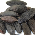 Tonka Bean-دانه تونکا