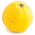 Yuzu-یوزو